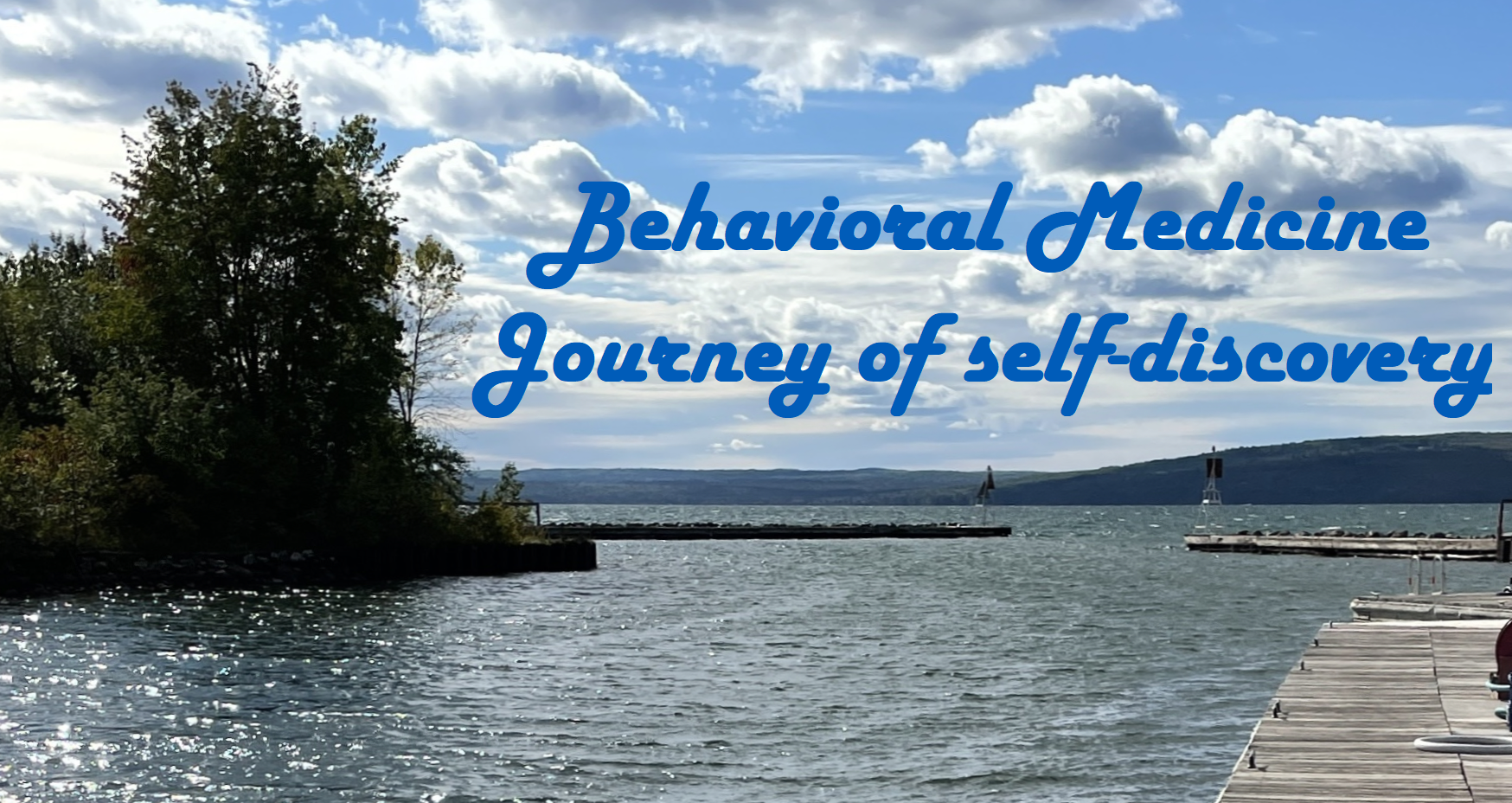 Behavioral Medicine Associates